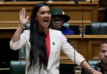 Youngest Member of New Zealand Parliament